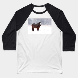 Brown on White - Horse Baseball T-Shirt